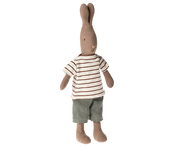 16-4220-00-png