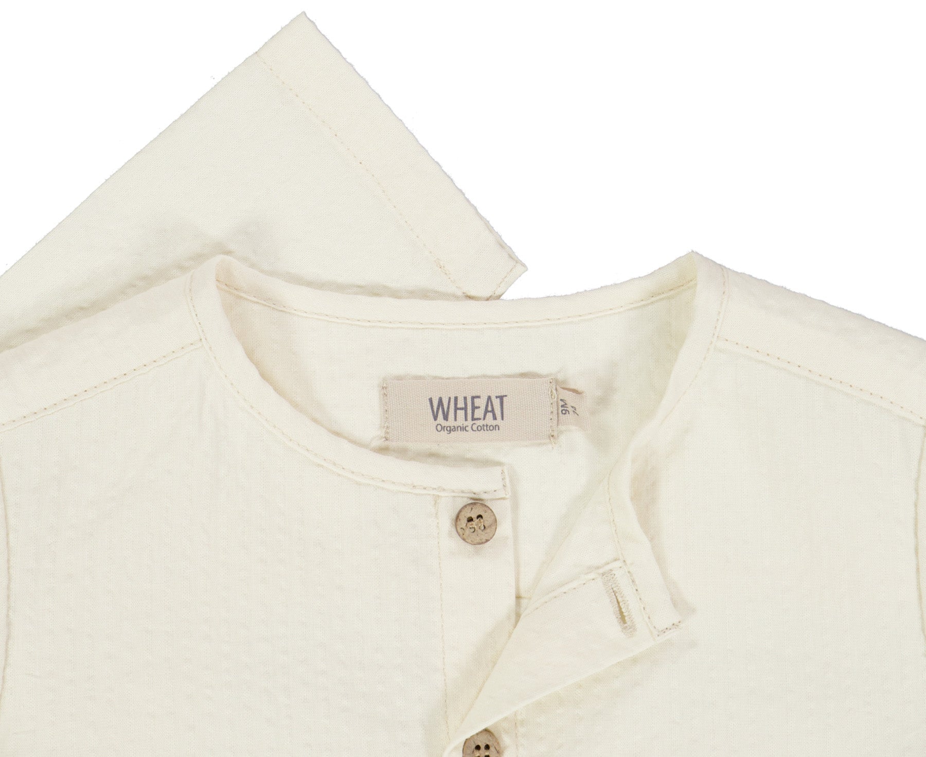 6658h-369-Shirt-Shelby-3129-eggshell-Extra-2