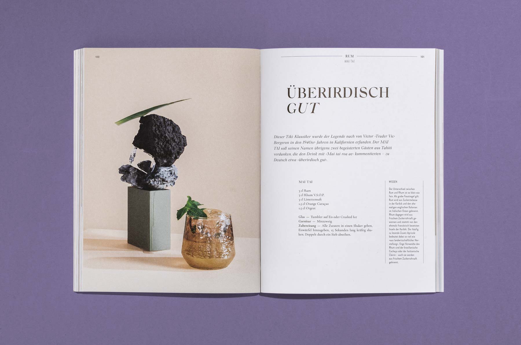 Buchgestaltung_Grafik_5