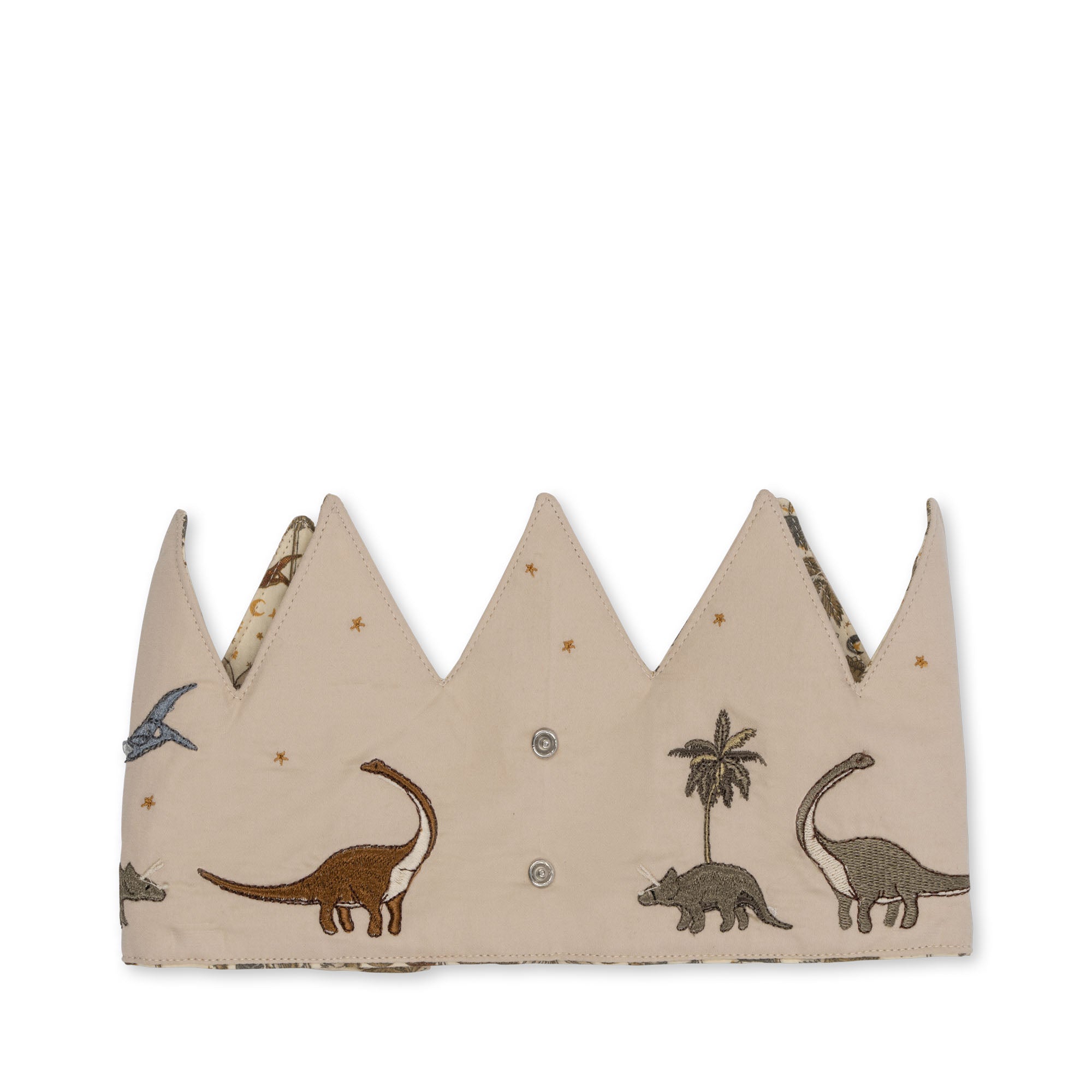KS5915-DINO-Extra-4