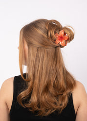 Plumeria-Bella-Big-Orange-2