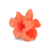 Plumeria-Bella-Big-Orange