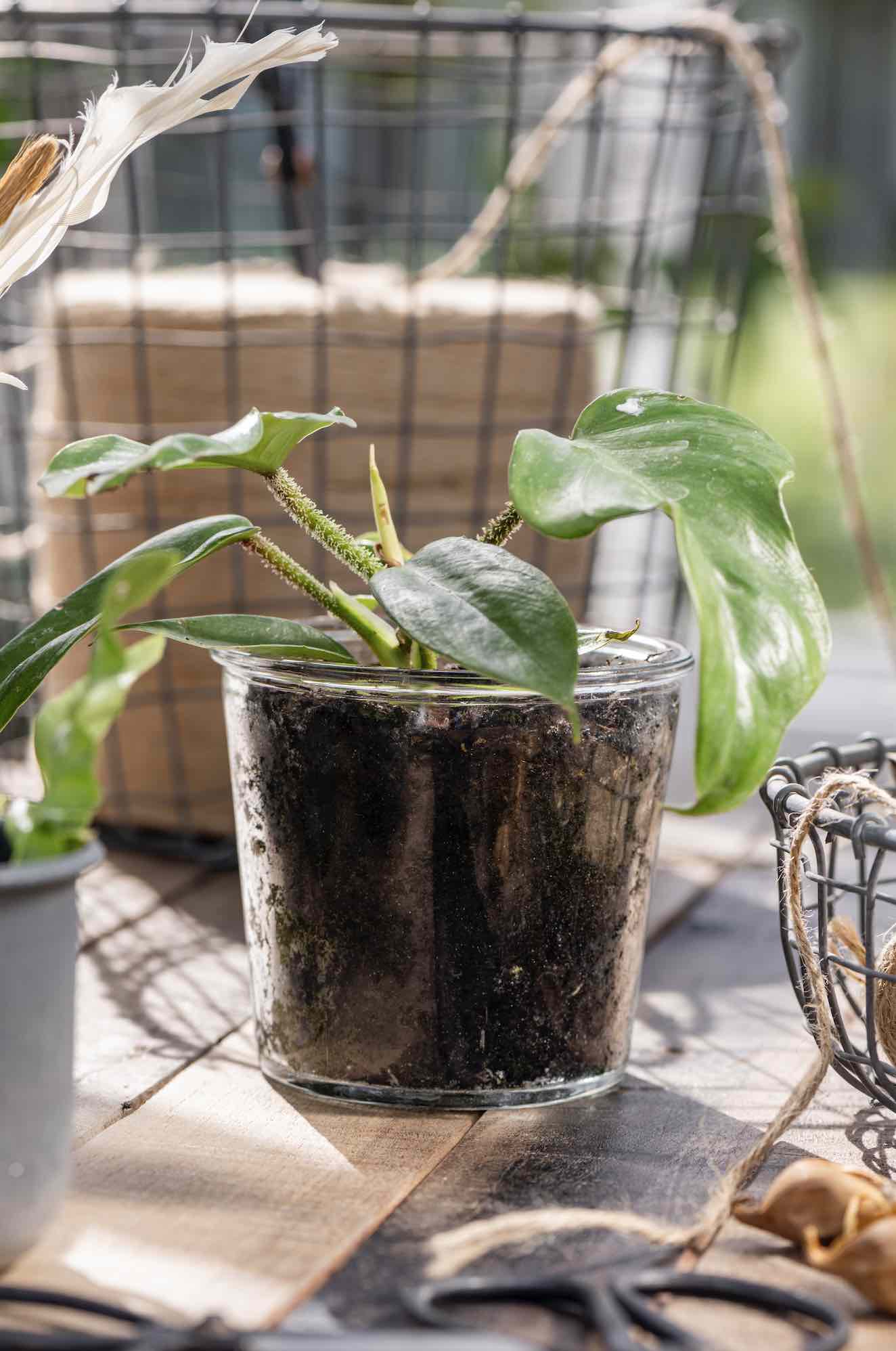 Screenshot-2024-03-07-at-17-59-01