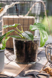 Screenshot-2024-03-07-at-17-59-01