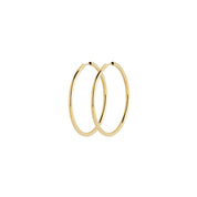 Senorita_35_hoop_gold_pair