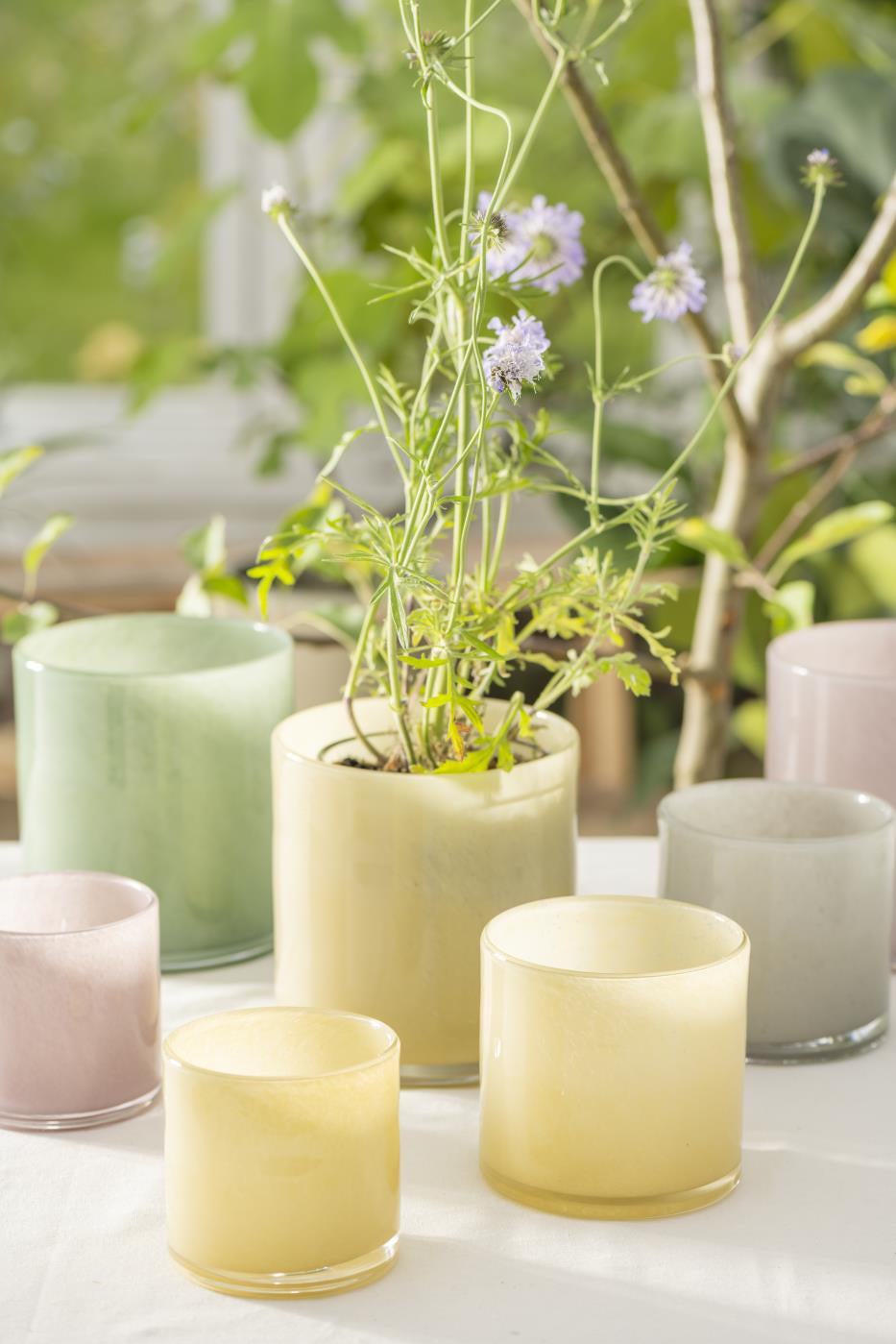 Trend267_8711-07_8711-04_8712-04_8713-04_trend001