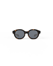 c-kids-plus-tortoise-jpg