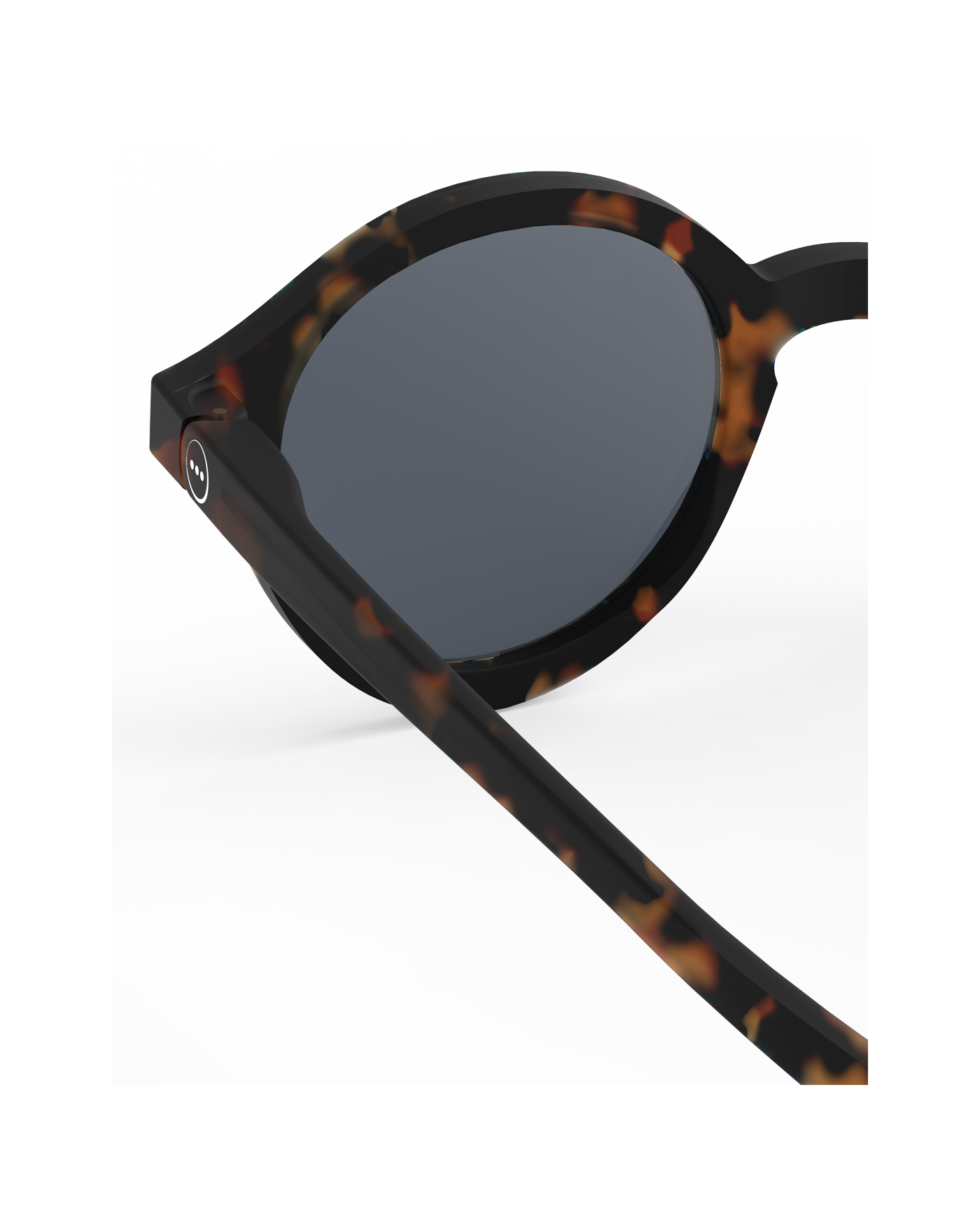 d-kids-plus-tortoise-jpg-4