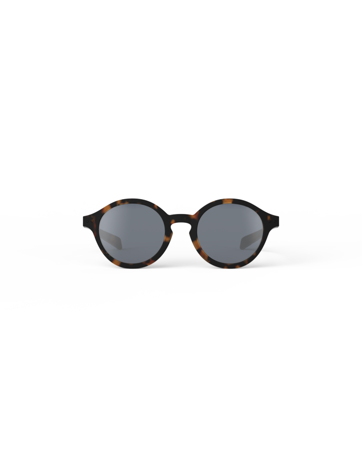 d-kids-plus-tortoise-jpg