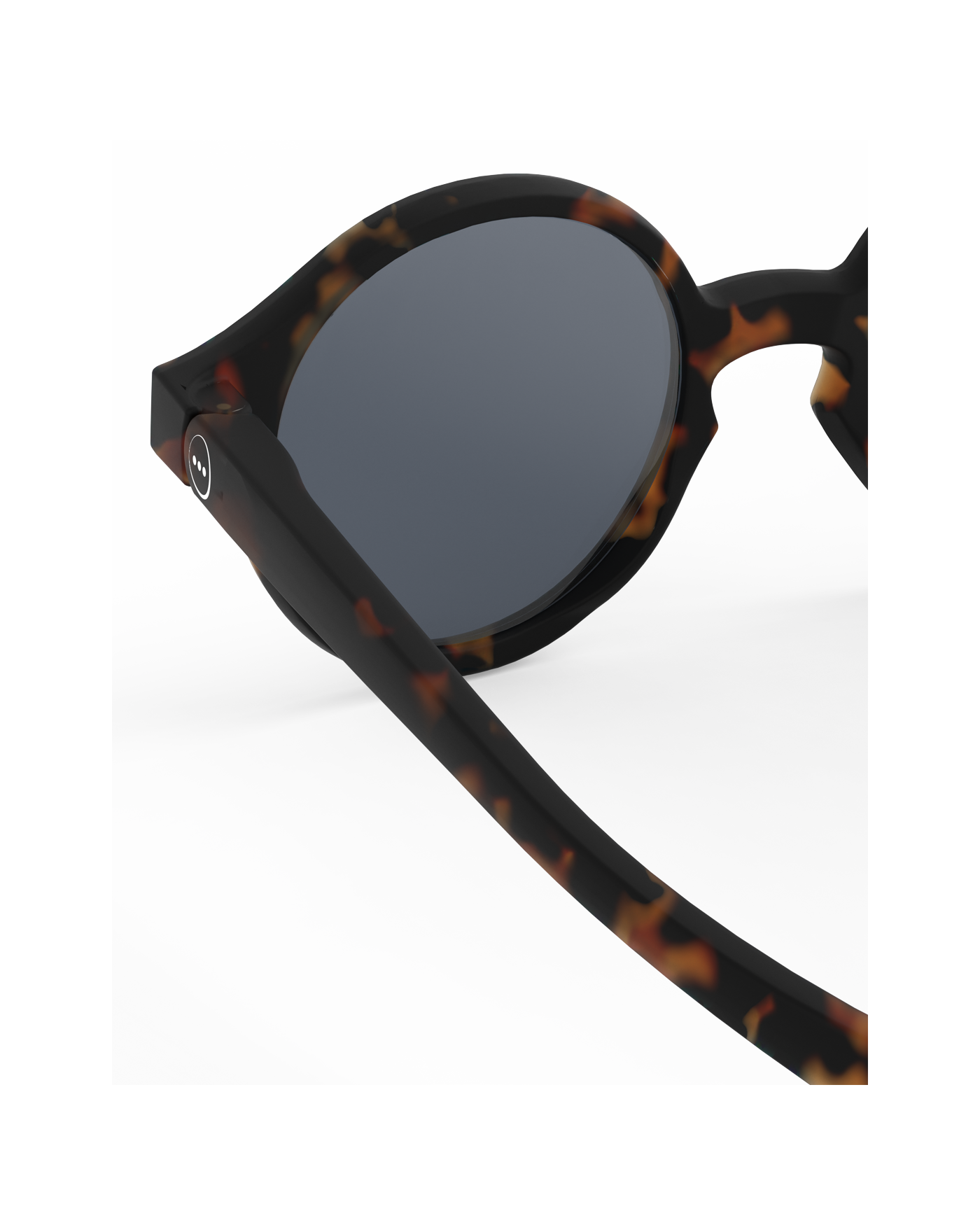 d-kids-tortoise-jpg-3