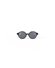 d-kids-tortoise-jpg-4