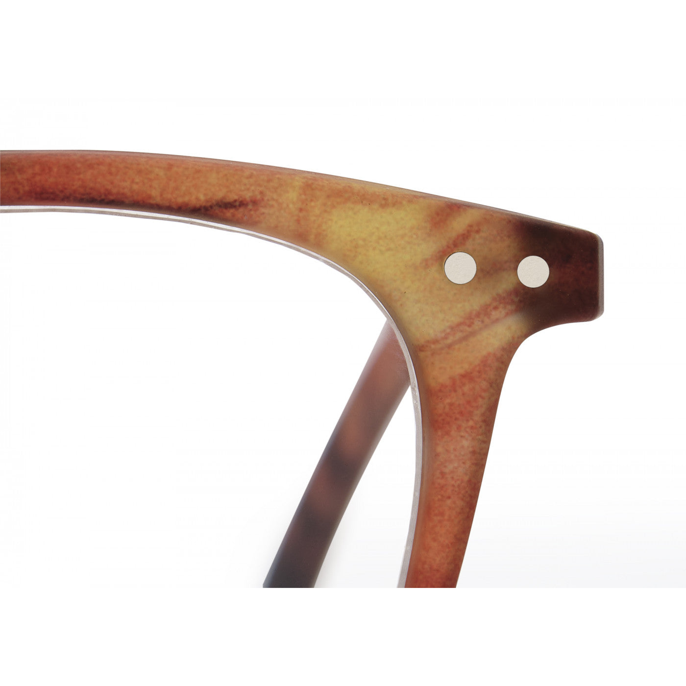 e-reading-wild-bright-reading-glasses-4