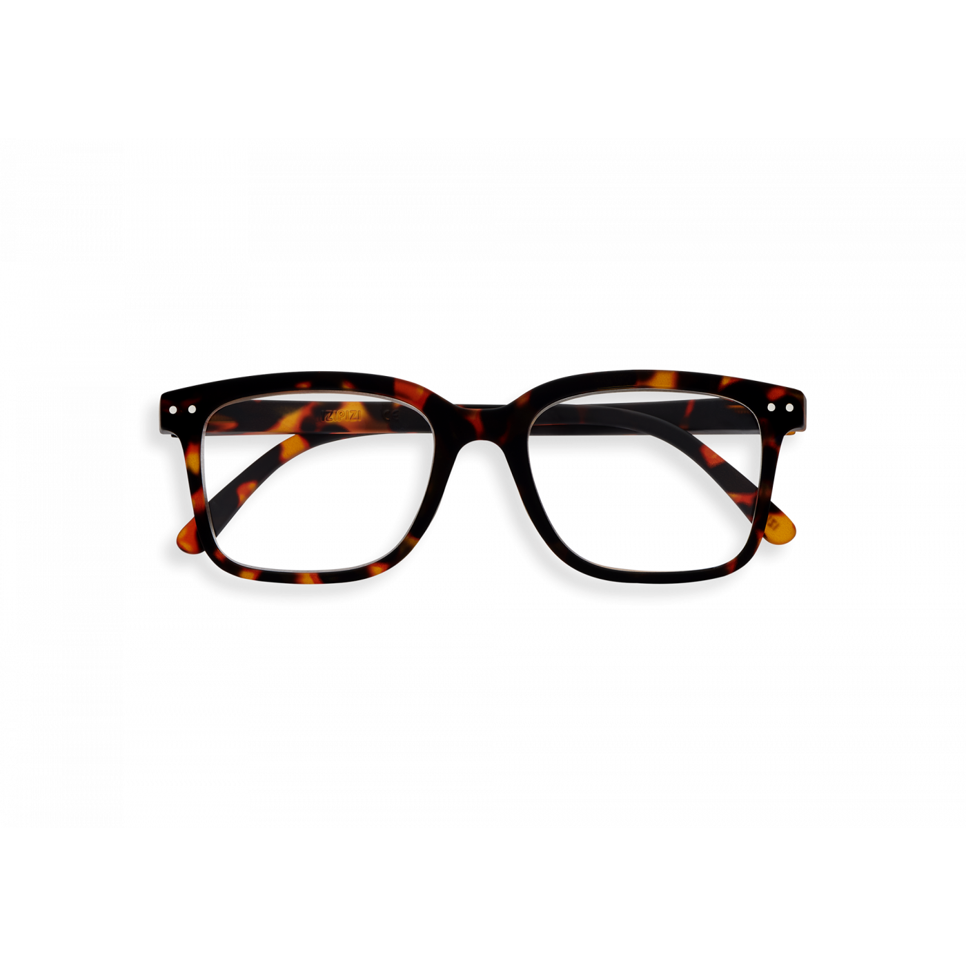 l-tortoise-reading-glasses-jpg