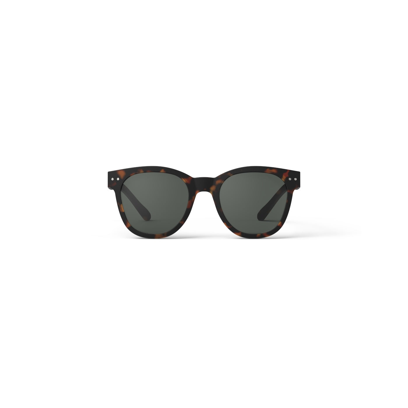 n-sun-tortoise-sonnenbrille-2h2Hkgr1SypDut