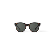 n-sun-tortoise-sonnenbrille-2h2Hkgr1SypDut