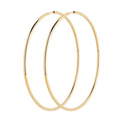 senorita_70_hoop_gold_pair