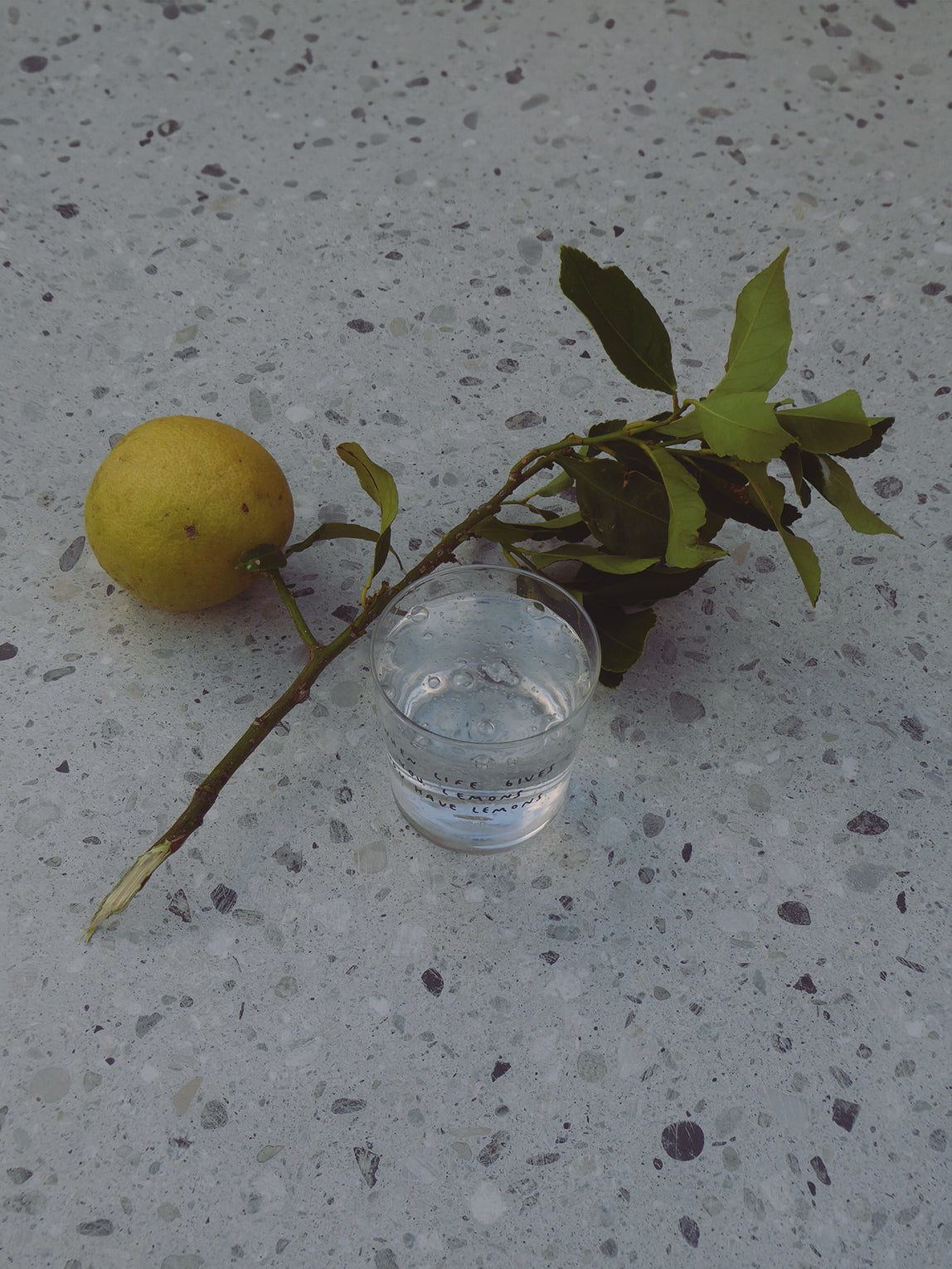 yahya-when-life-gives-you-lemons-03