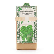 TDJ Stadtgärtner GmbH - Minigarten - Basilkum - BIO