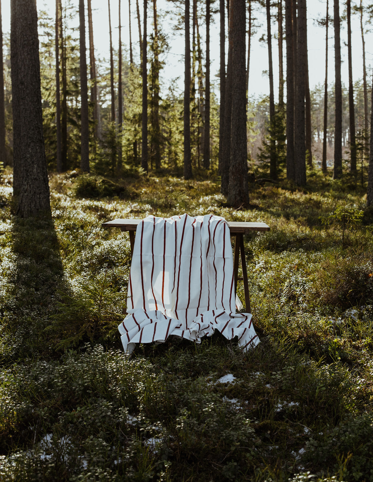 115112-KARLSTORP-duk-1