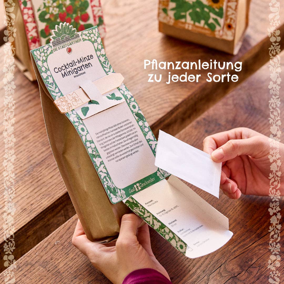 TDJ Stadtgärtner GmbH - Minigarten - Basilkum - BIO