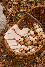 Ib Laursen / Geschirrtuch Rebecca / Natur m/ rostfarben