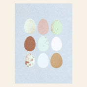 Eier Natur Postkarte