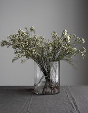 315119-RAMSJO-GLASVAS7-KLAR-XL