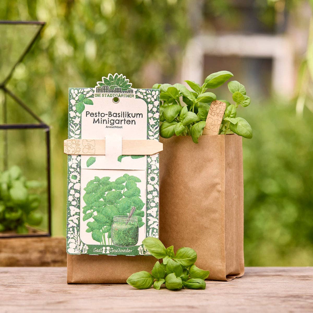 TDJ Stadtgärtner GmbH - Minigarten - Basilkum - BIO