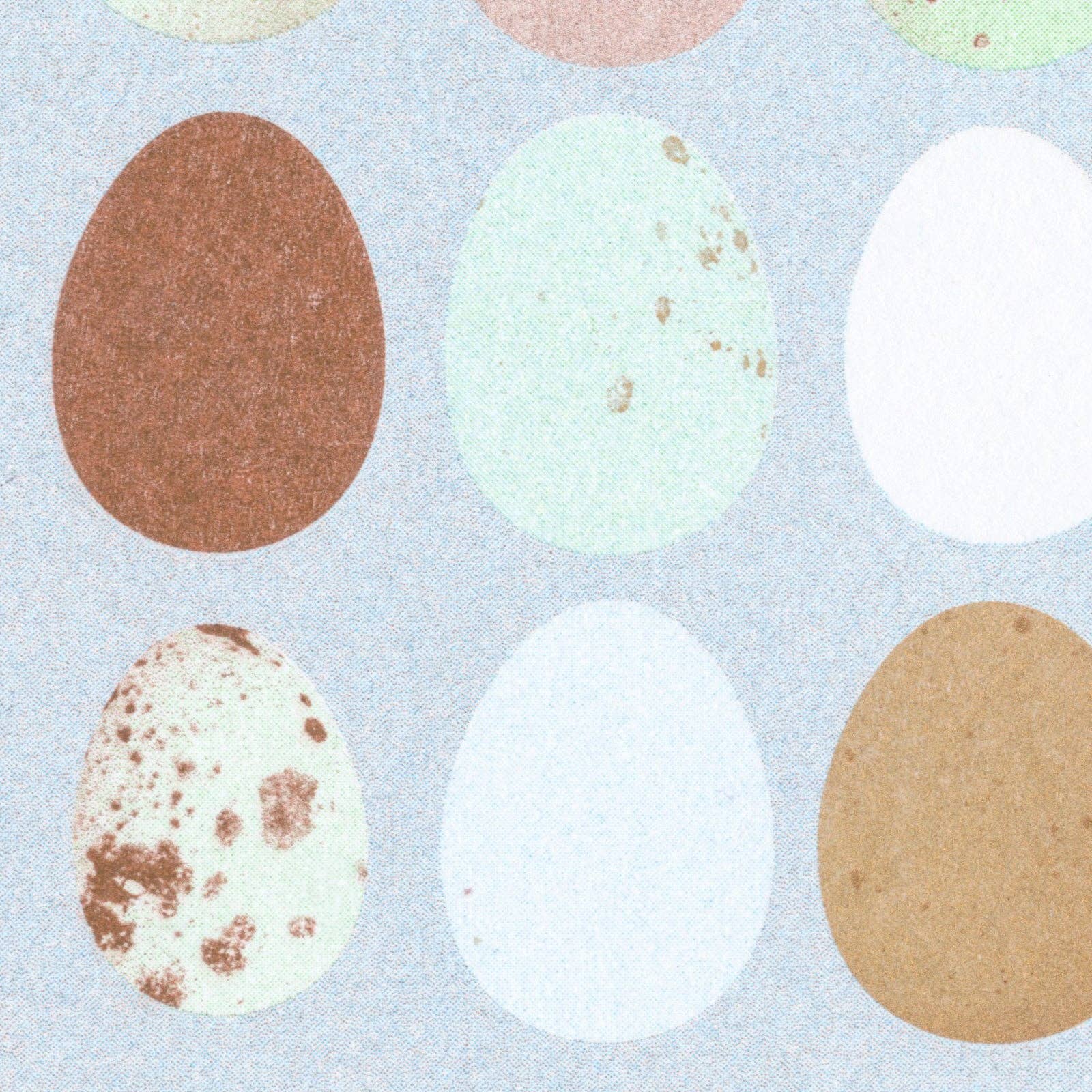 Eier Natur Postkarte