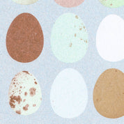Eier Natur Postkarte