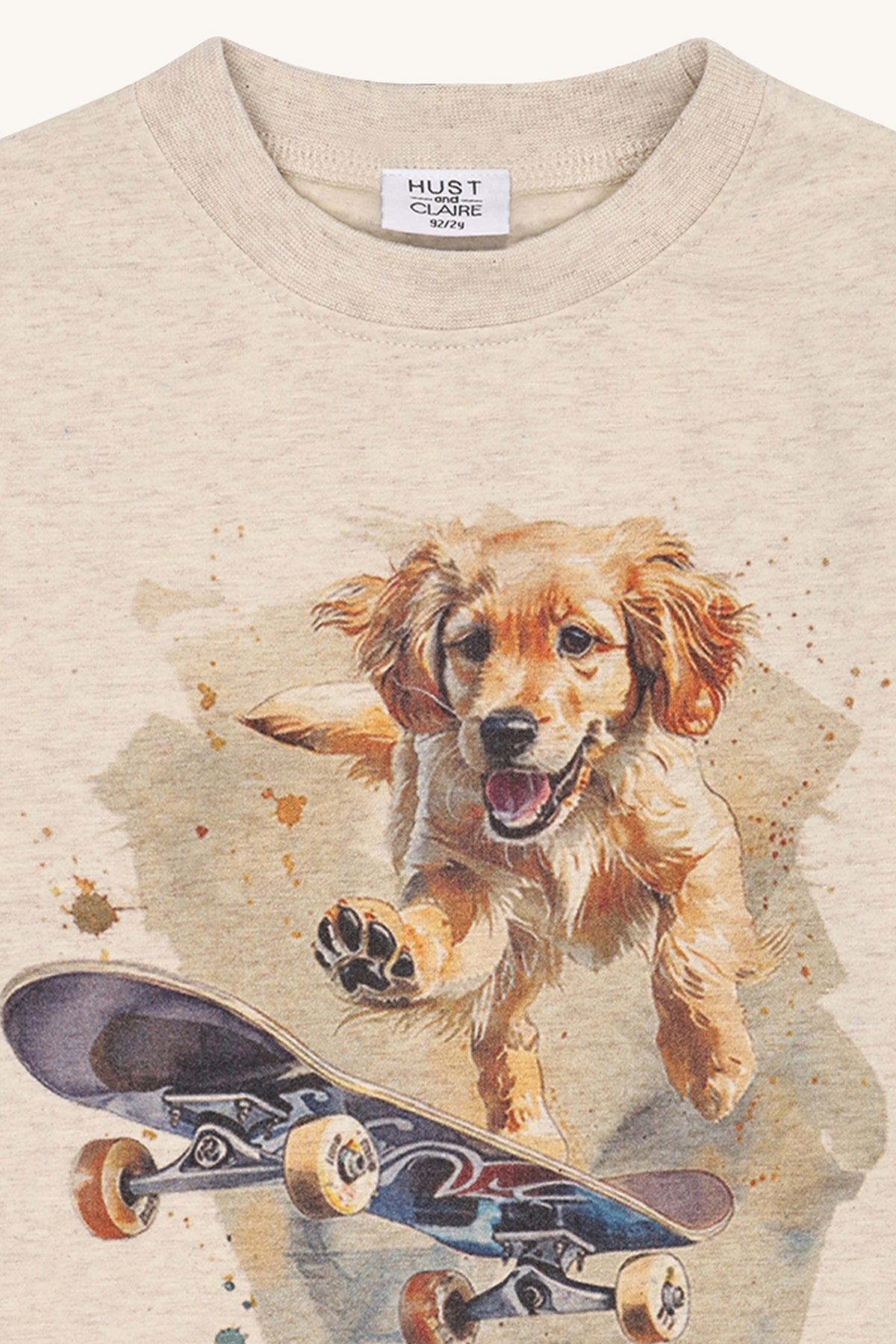 Hust & Claire / HCAnton Skater dog / Wheat Melange