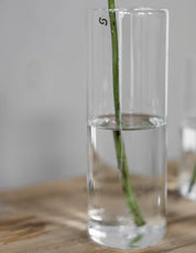 366122-TENVIK-glasvas-11