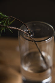 366122_tenvik_glasvas3