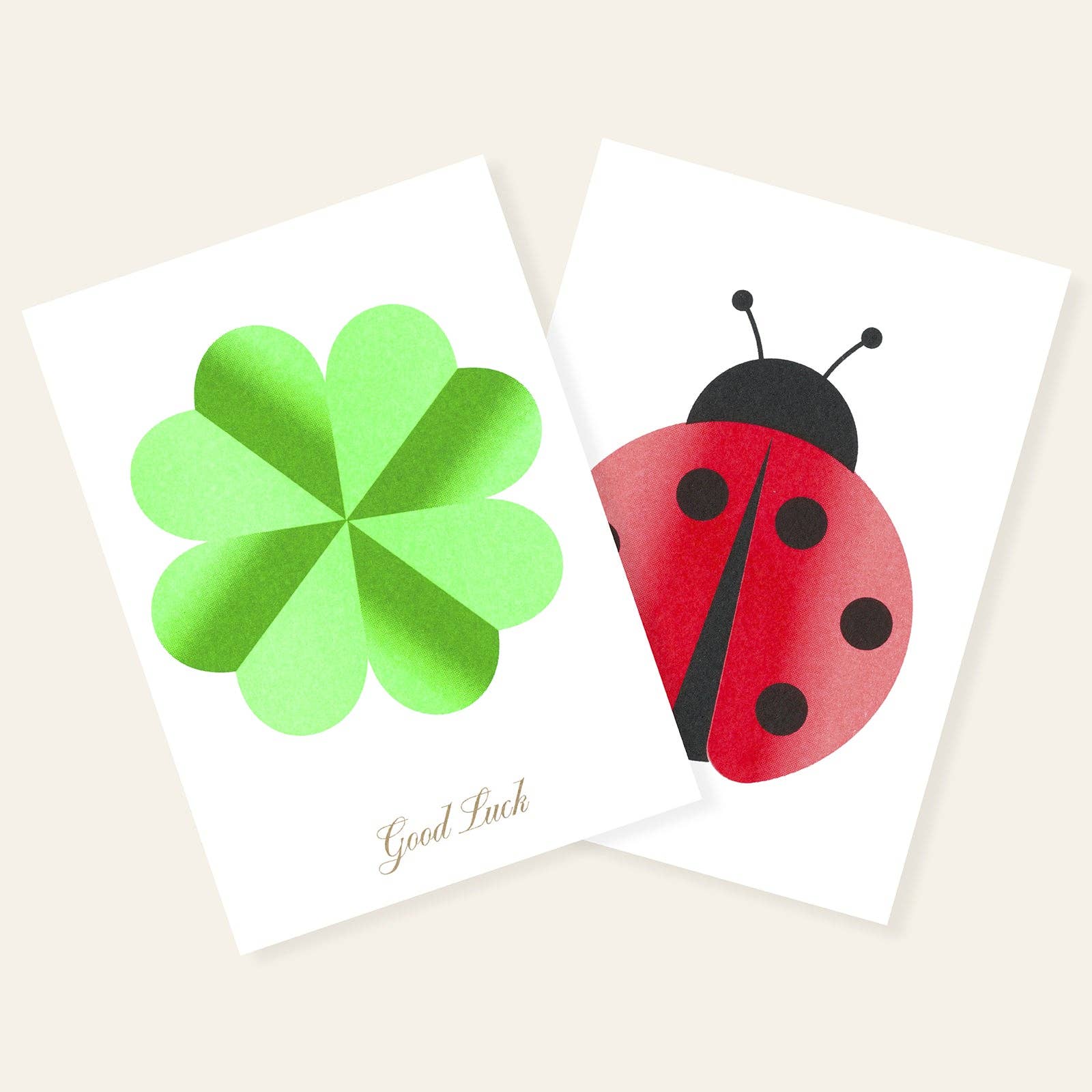 HERR & FRAU RIO - Ladybug Postkarte