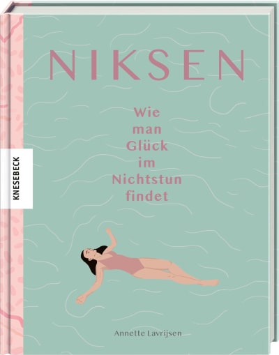 484-6_cover_niksen_3d_icyb56