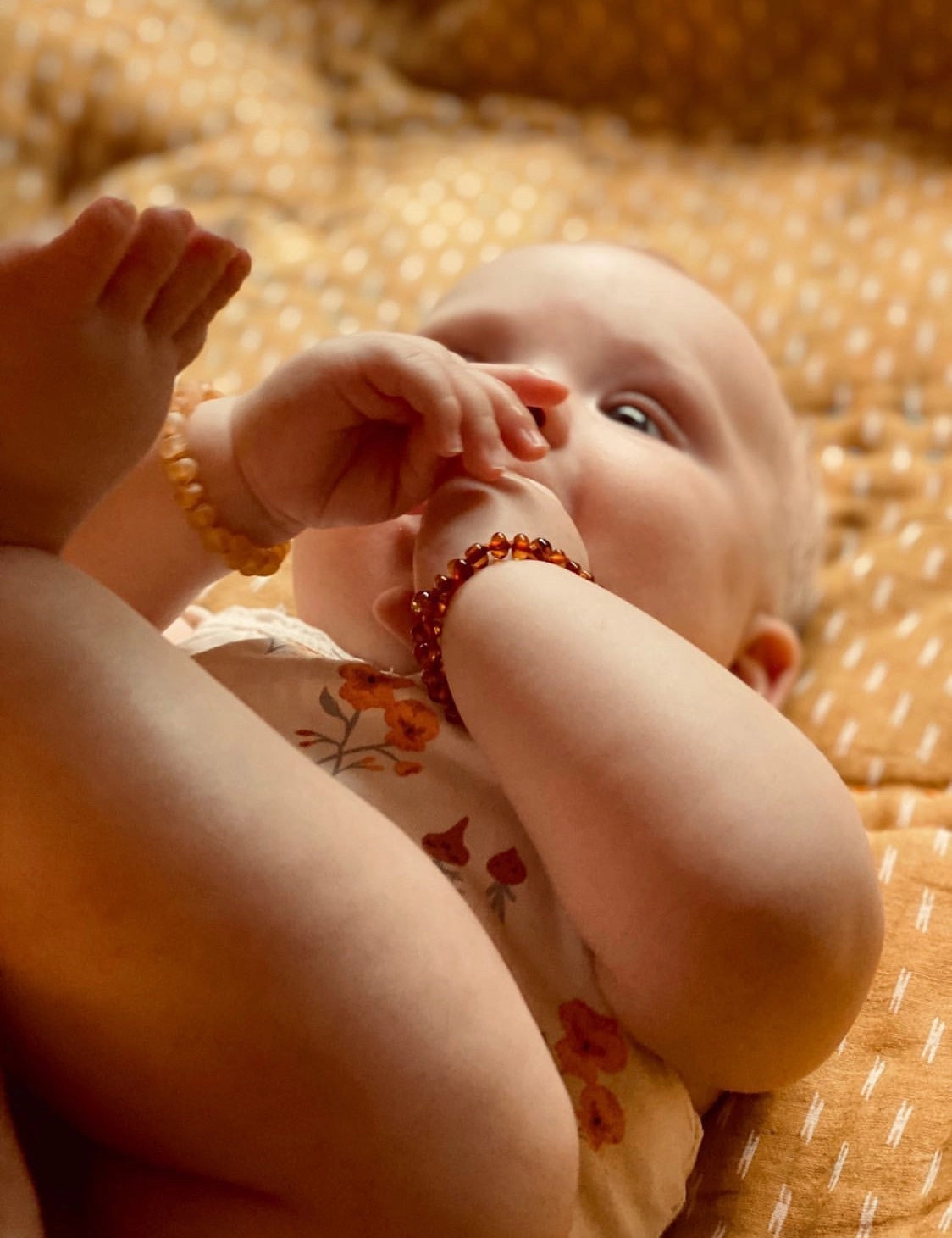 59ee304b3a6fd6ae7d21c39ebcbdc3e2dde2dbf7de9e7dd5947cc29bc4fb5897