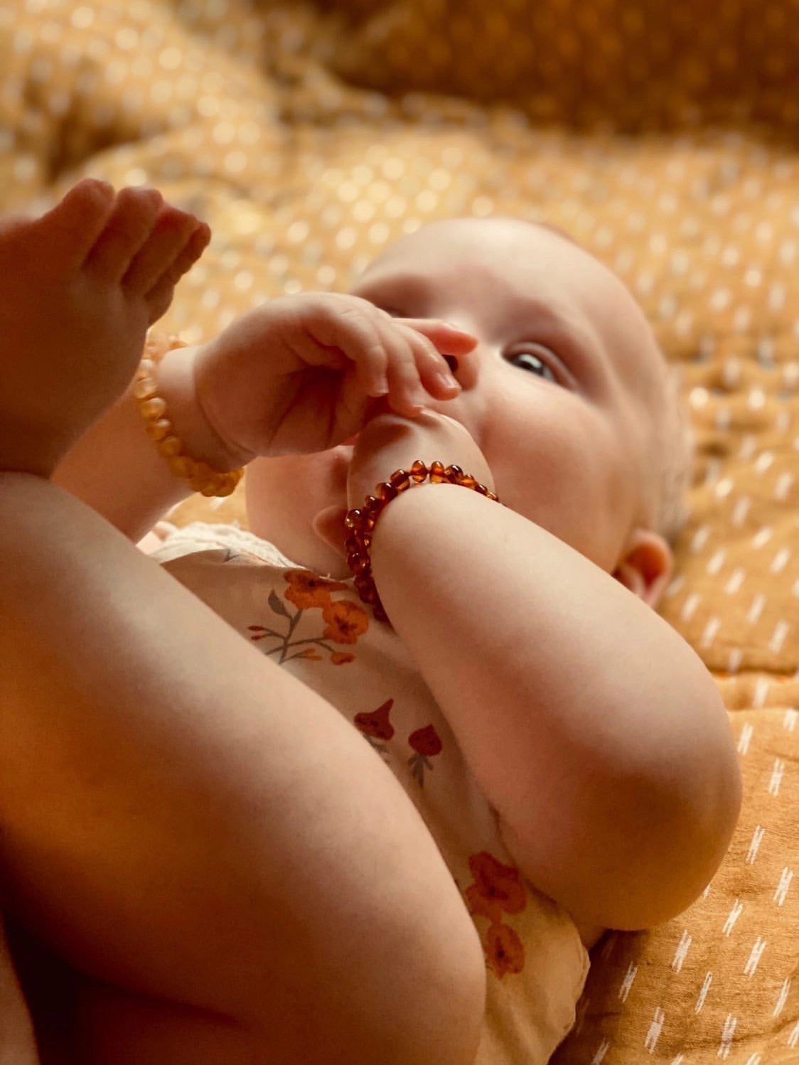 59ee304b3a6fd6ae7d21c39ebcbdc3e2dde2dbf7de9e7dd5947cc29bc4fb5897