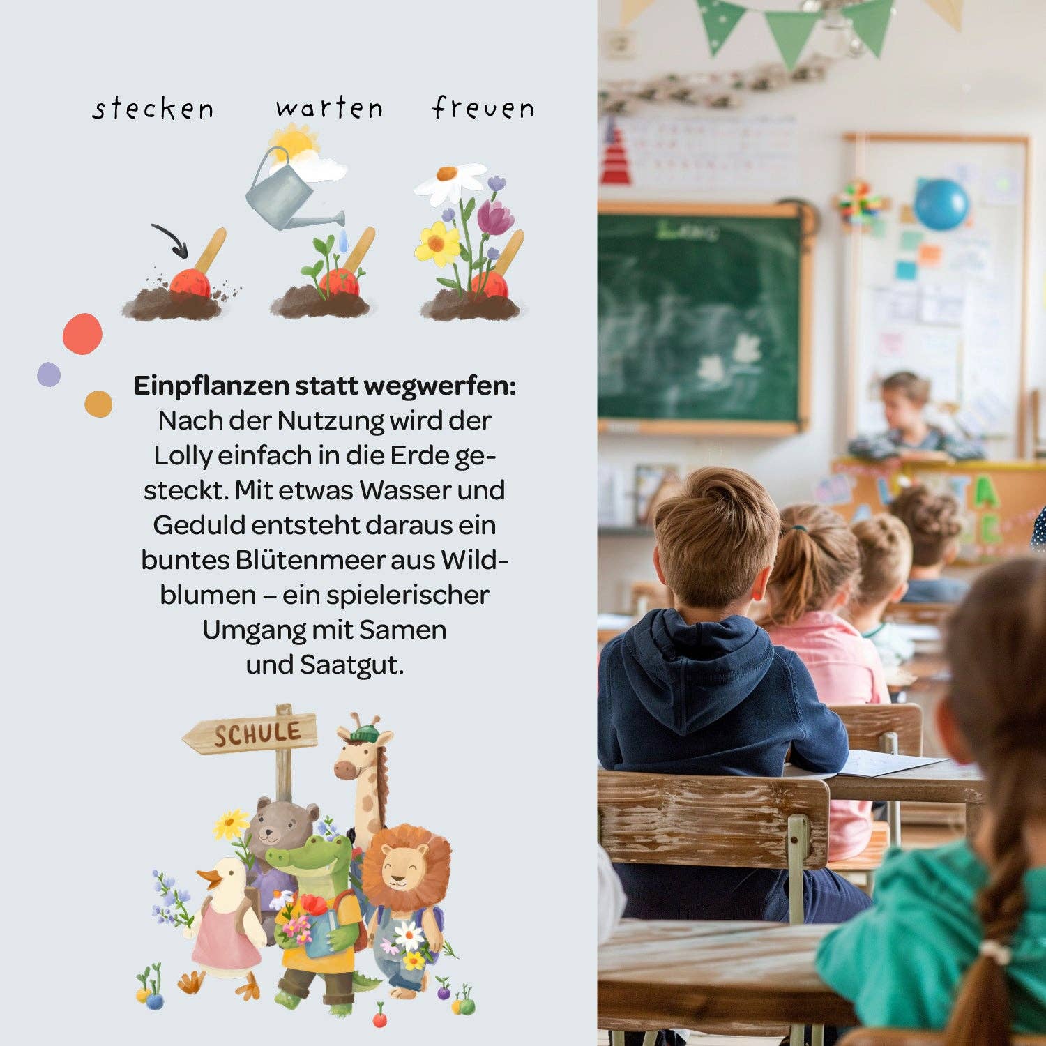 TDJ Stadtgärtner GmbH - Back-to-School, Große Pause, Blumenlolly