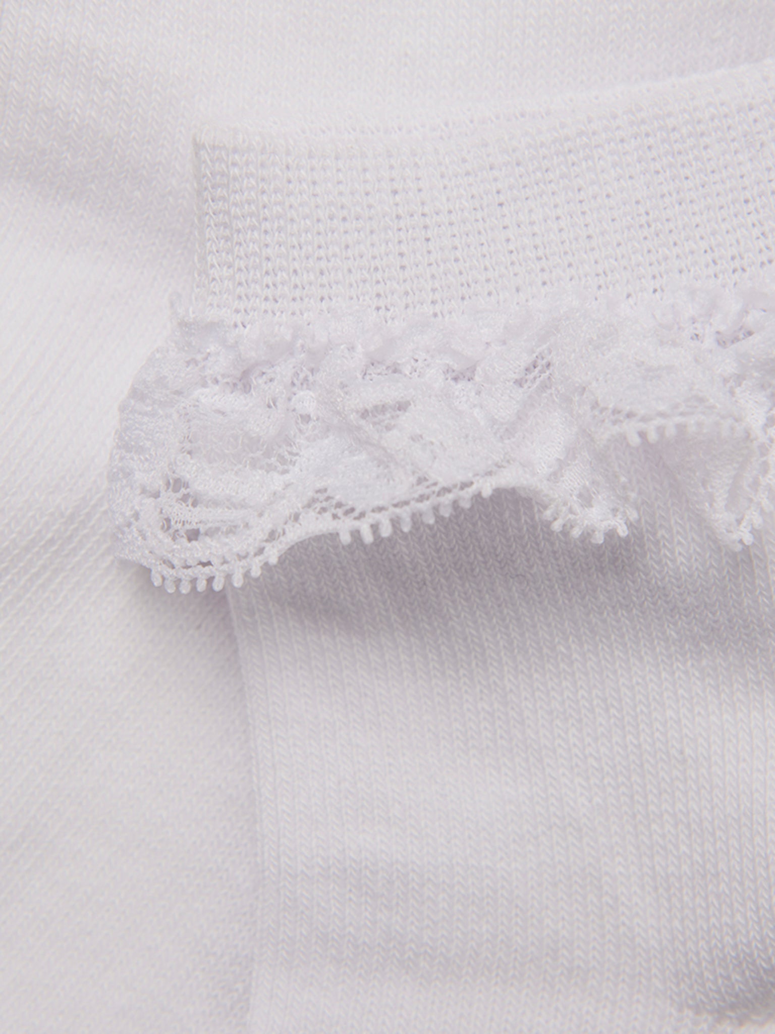 6024_100_IMAGE_BACK