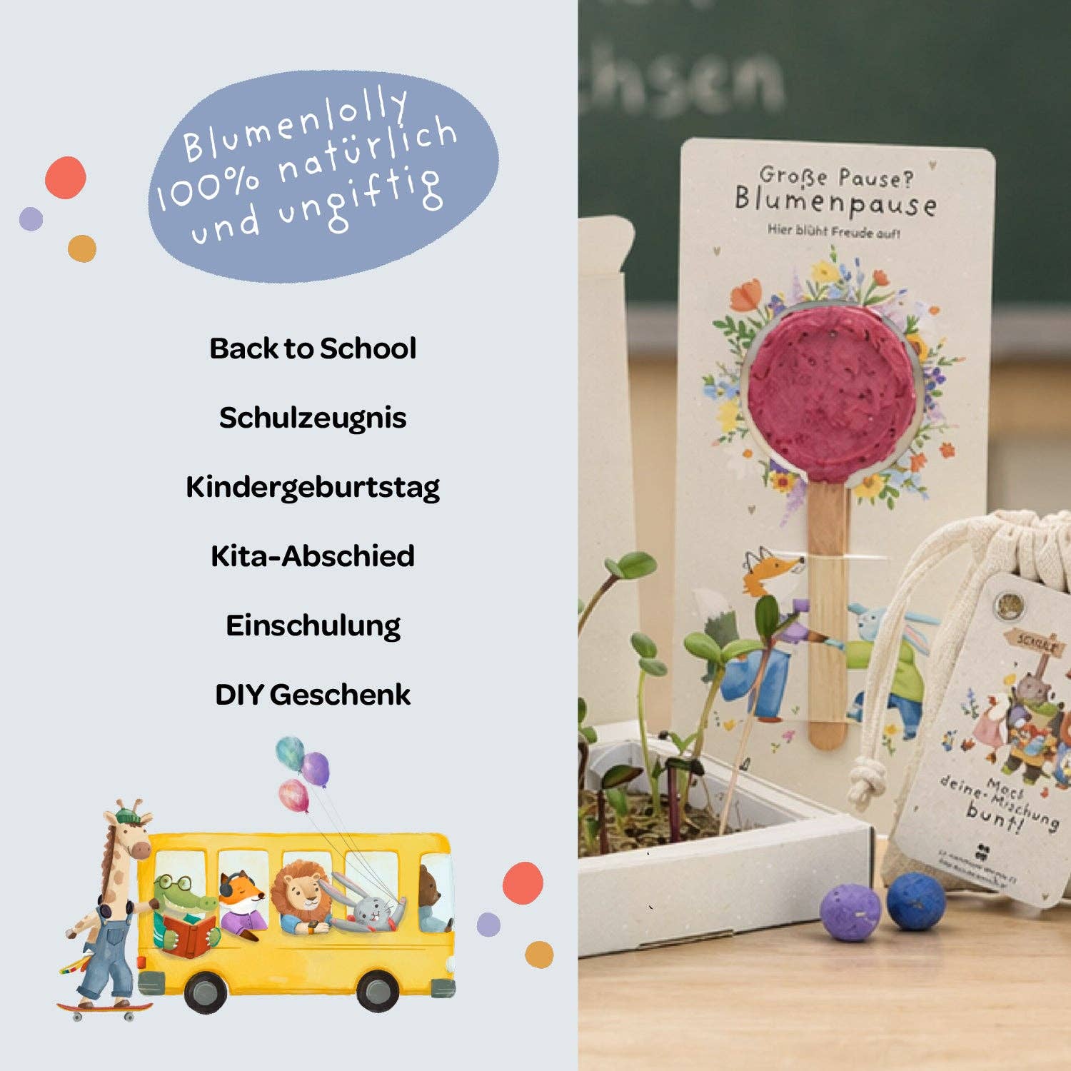 TDJ Stadtgärtner GmbH - Back-to-School, Große Pause, Blumenlolly