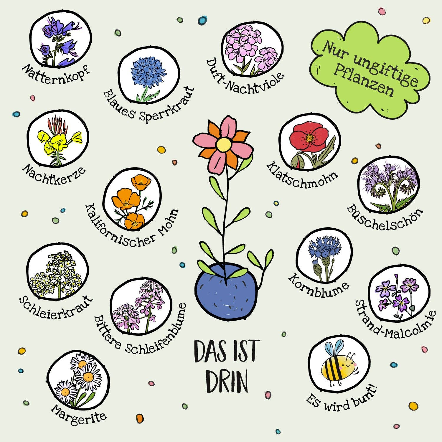 TDJ Stadtgärtner GmbH - Blumenmurmeln Pergamin Back-to-School - Tiere