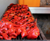 O.E.L. - Thalassa GmbH & Co. KG - PURE PAPRIKA - Bio Paprikafilets - gegrillte Spitzpaprika
