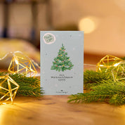 TDJ Stadtgärtner GmbH - Fichten-Saatgut "Weihnachtsbaum 2033"