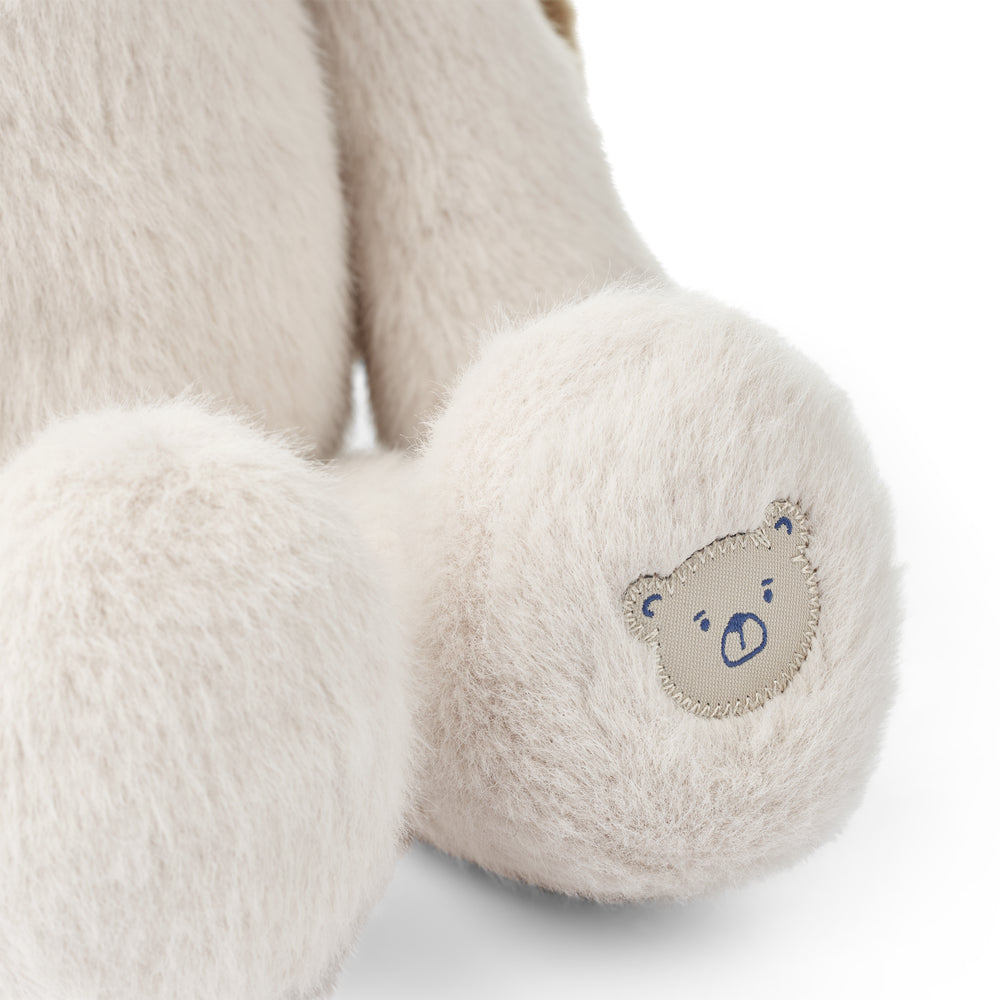 Berto_Dog_Teddy_LW19388_5060_Sandy_2
