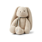 Berto_Rabbit_Teddy_LW19386_1500_Mist_1
