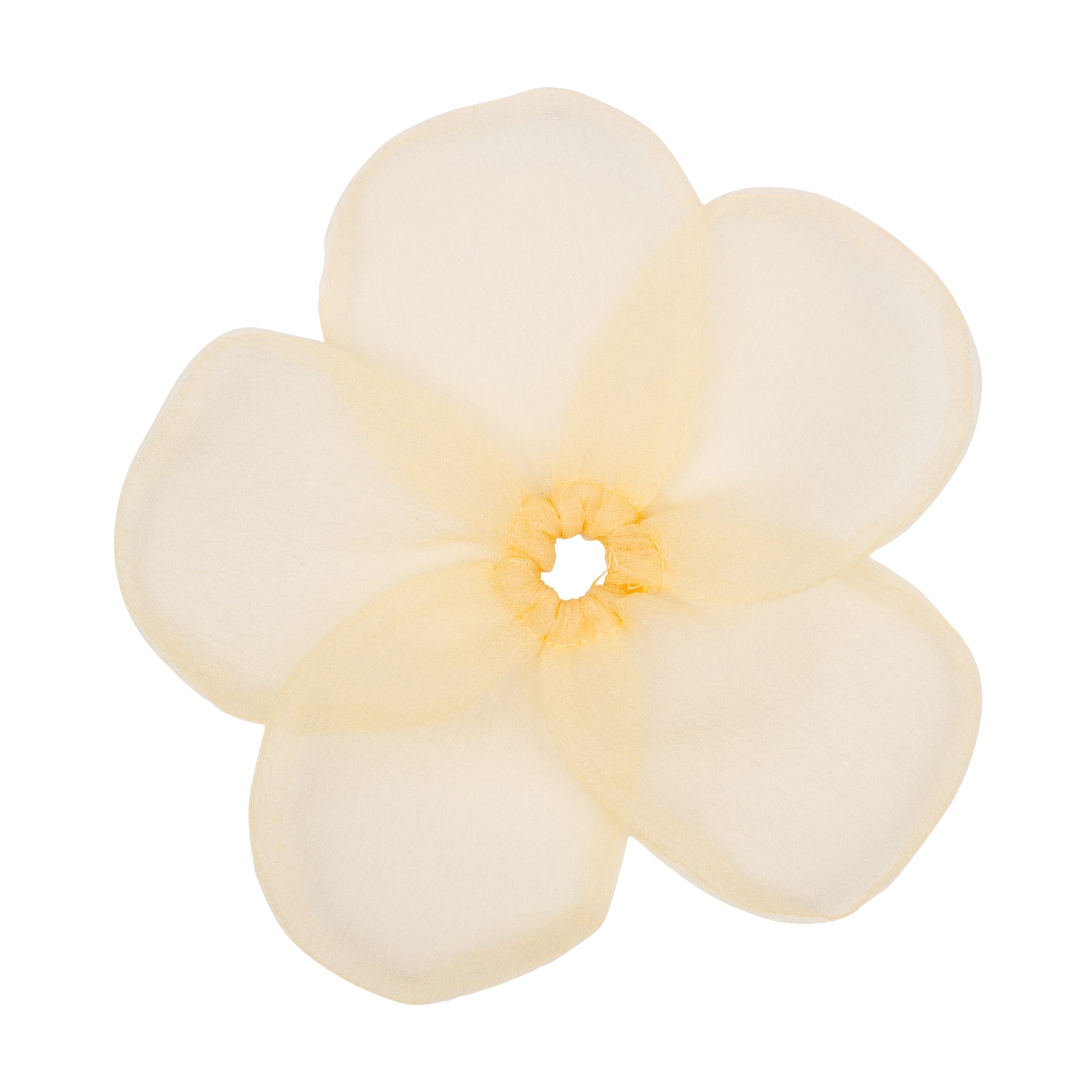 Buttercup-Elastic-Big-Yellow