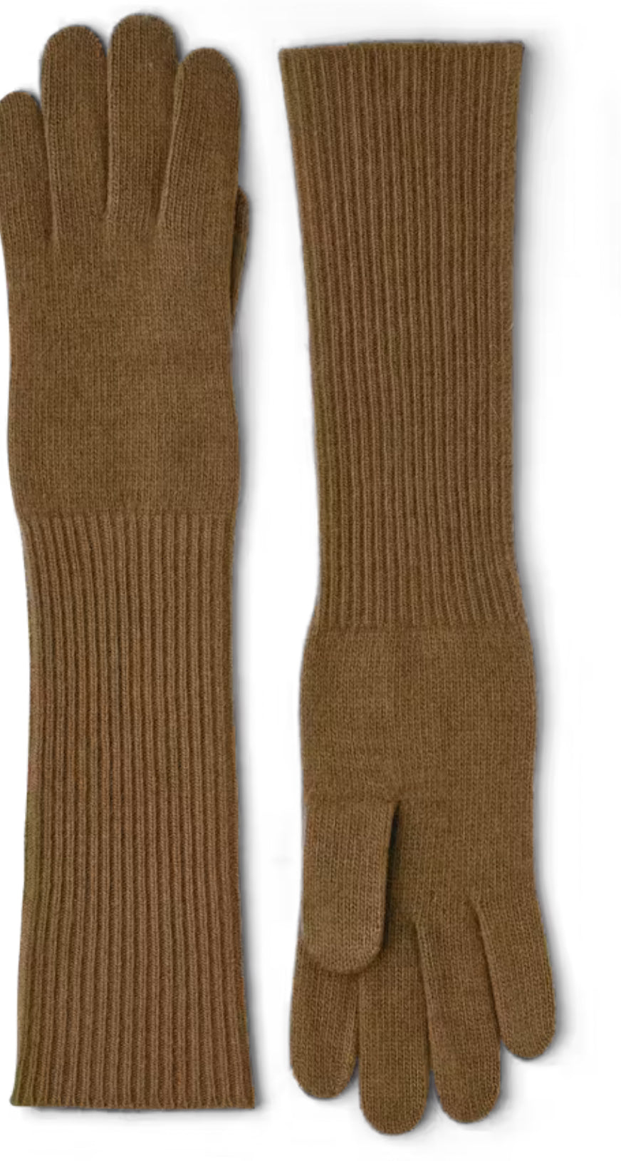 Hestra / Ladies' cashmere glove 8 Bt / Camel
