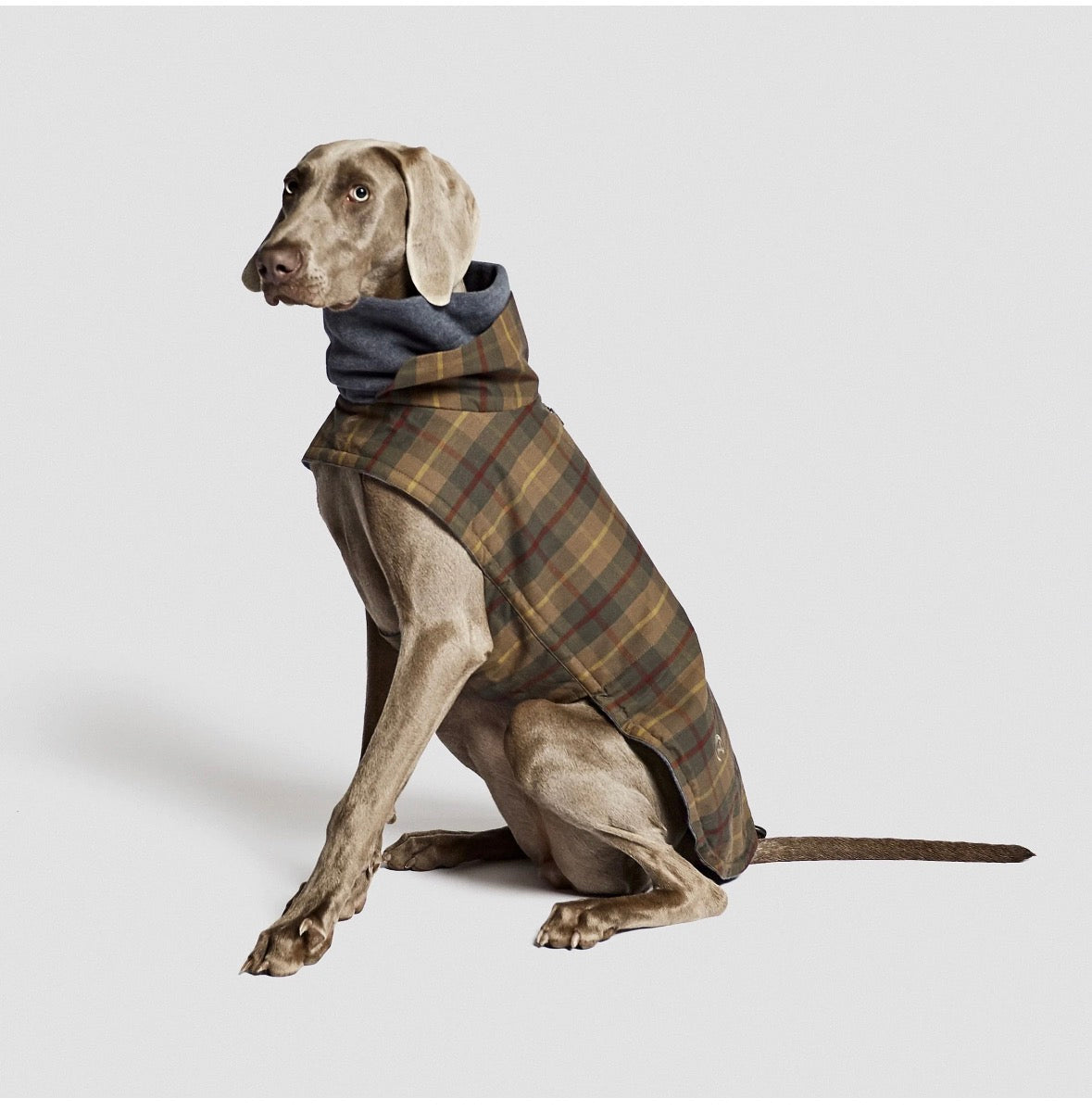 Cloud7 / Hundemantel Brooklyn Waxed Tartan - Size 6