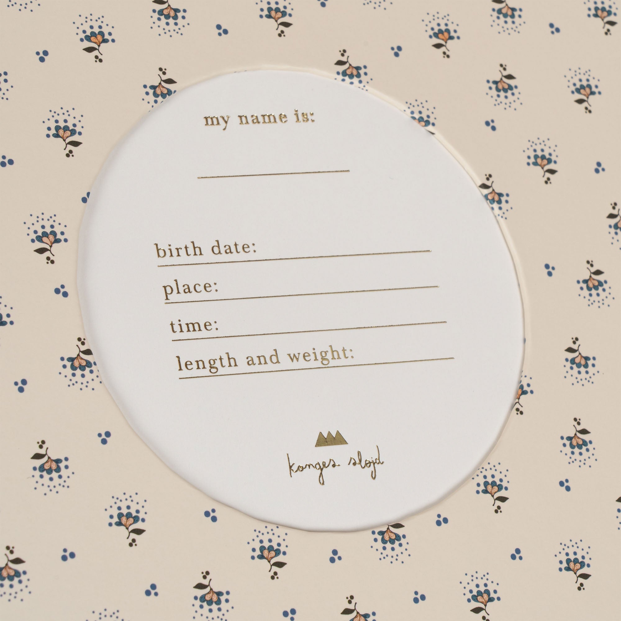 KS100387-POINT-BLEU-Extra-10
