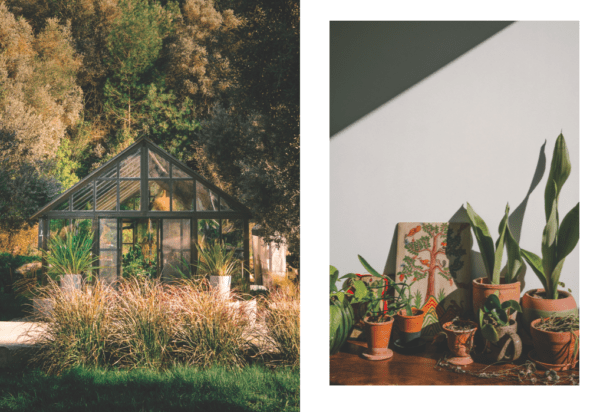Kinfolk-Garden2-600x412